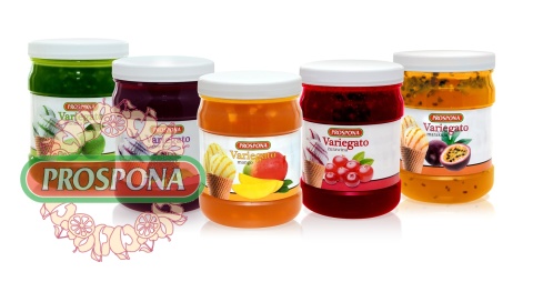 Variegato - Czarna porzeczka 1,2 kg Variegato - Czarna porzeczka 1,2 kg