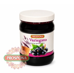 Variegato - Czarna porzeczka 1,2 kg